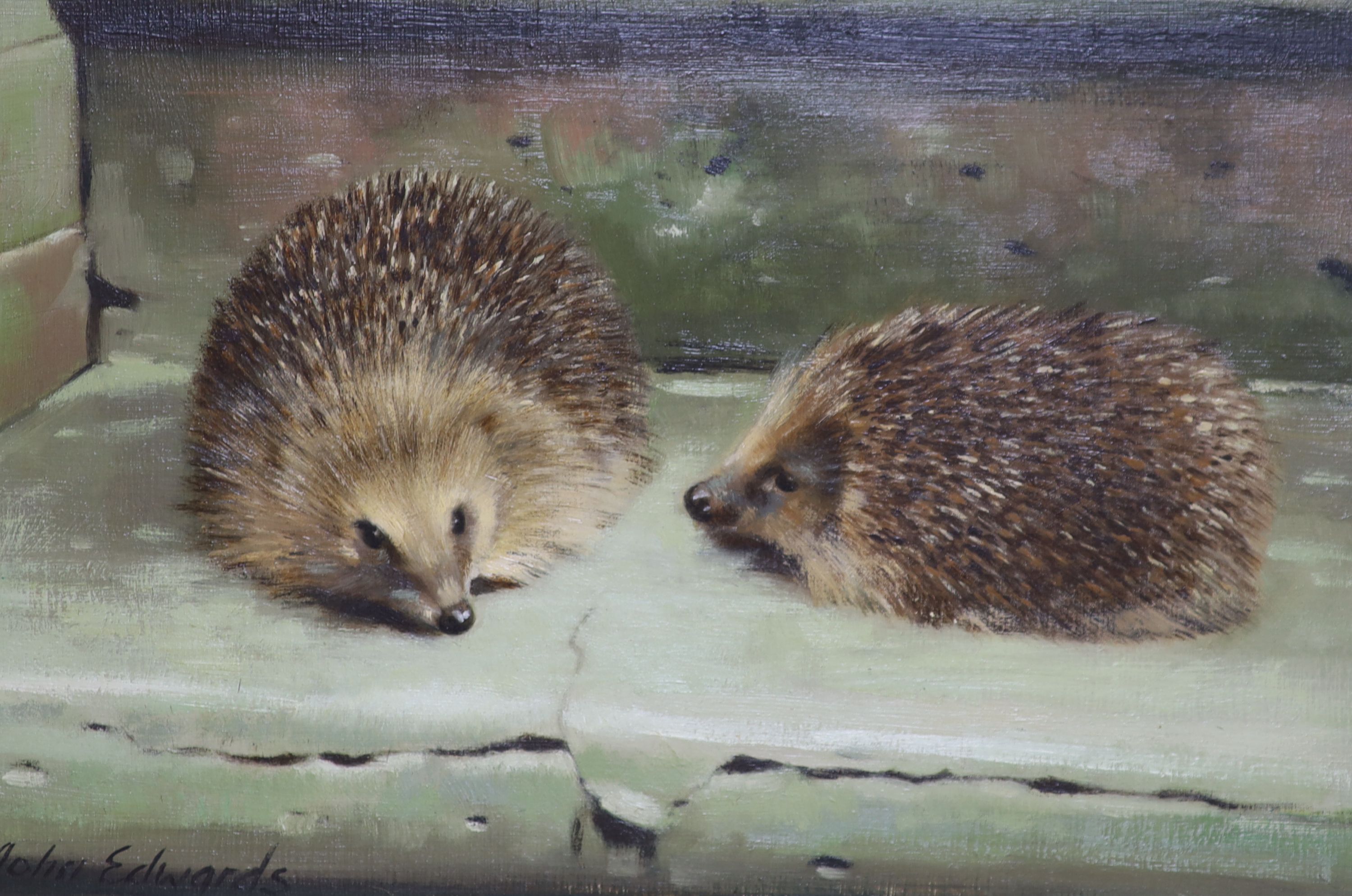 John Edwards (20th century), two oils on board, 'Otter in winter' and 'Hedgehogs', signed, 24 x 34cm and 24 x 34cm, frames differ